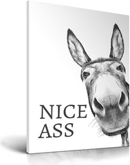 Funny Donkey "Nice ASS" Pop Art Canvas